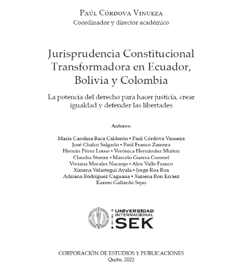 Jurisprudencia Constitucional y Convencional en el Marco de los Principios de Progresividad, Prohibición de Regresividad y Sobre Protección de los Derechos de las y los Adolescentes en el Sistema Penal Boliviano