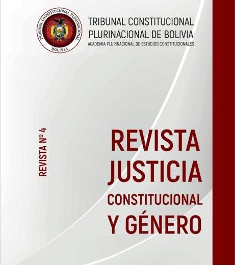 Criterios convencionales e interamericanos a invocarse en el juzgamiento constitucional de género