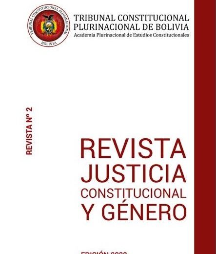 Principales Estereotipos de Género en los Derechos Humanos. Revista Justicia Constitucional y Género N° 2 del Tribunal Constitucional Plurinacional (2022)