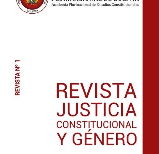 Pilares para la Construcción de una Agenda Jurisdiccional en Género